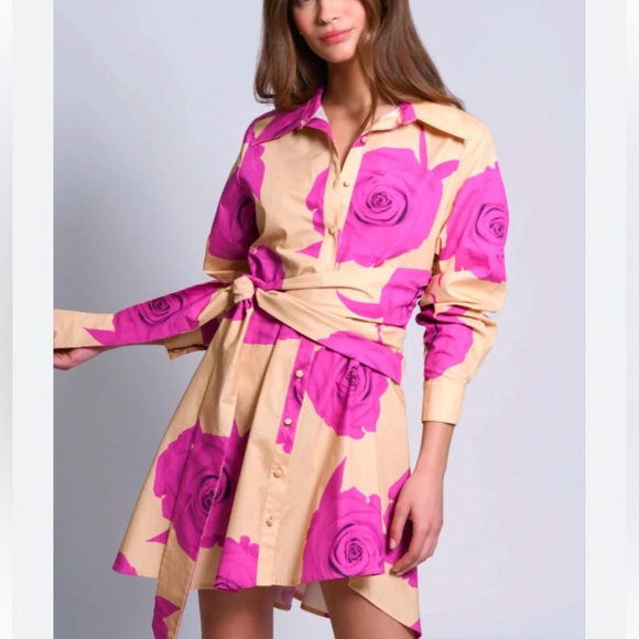 Anthropologie Hutch Long-Sleeve Rosette Tie-Waist Dress Size M no paper tag - Picture 1 of 3